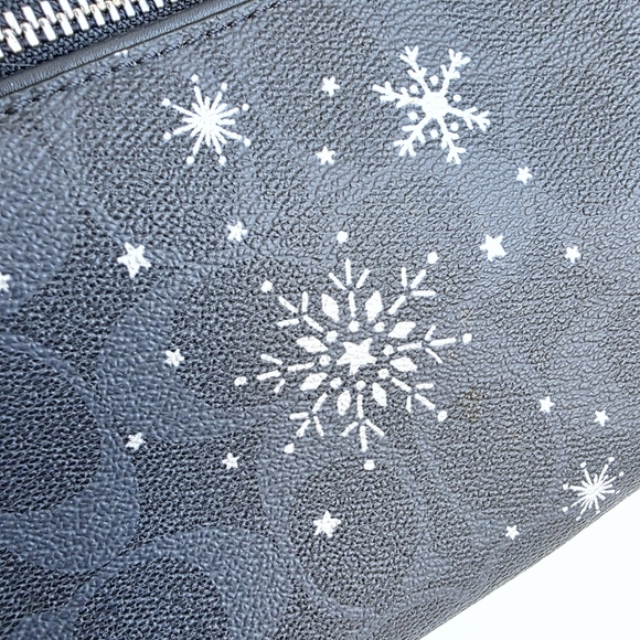 Coach Snowflake Rowan Satchel - Picture 9 of 15